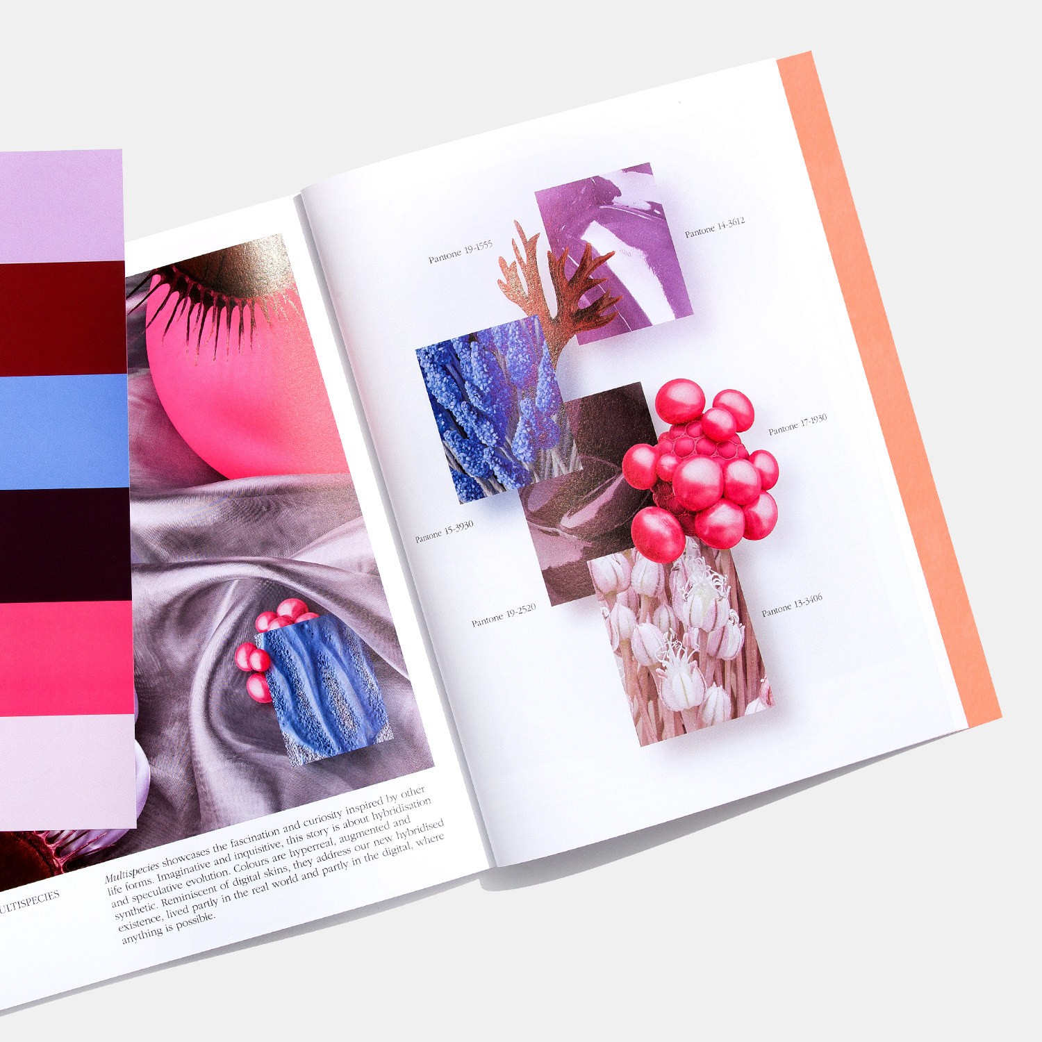 PANTONE 色彩趨勢(shì)書《色彩觀點(diǎn)》第十期