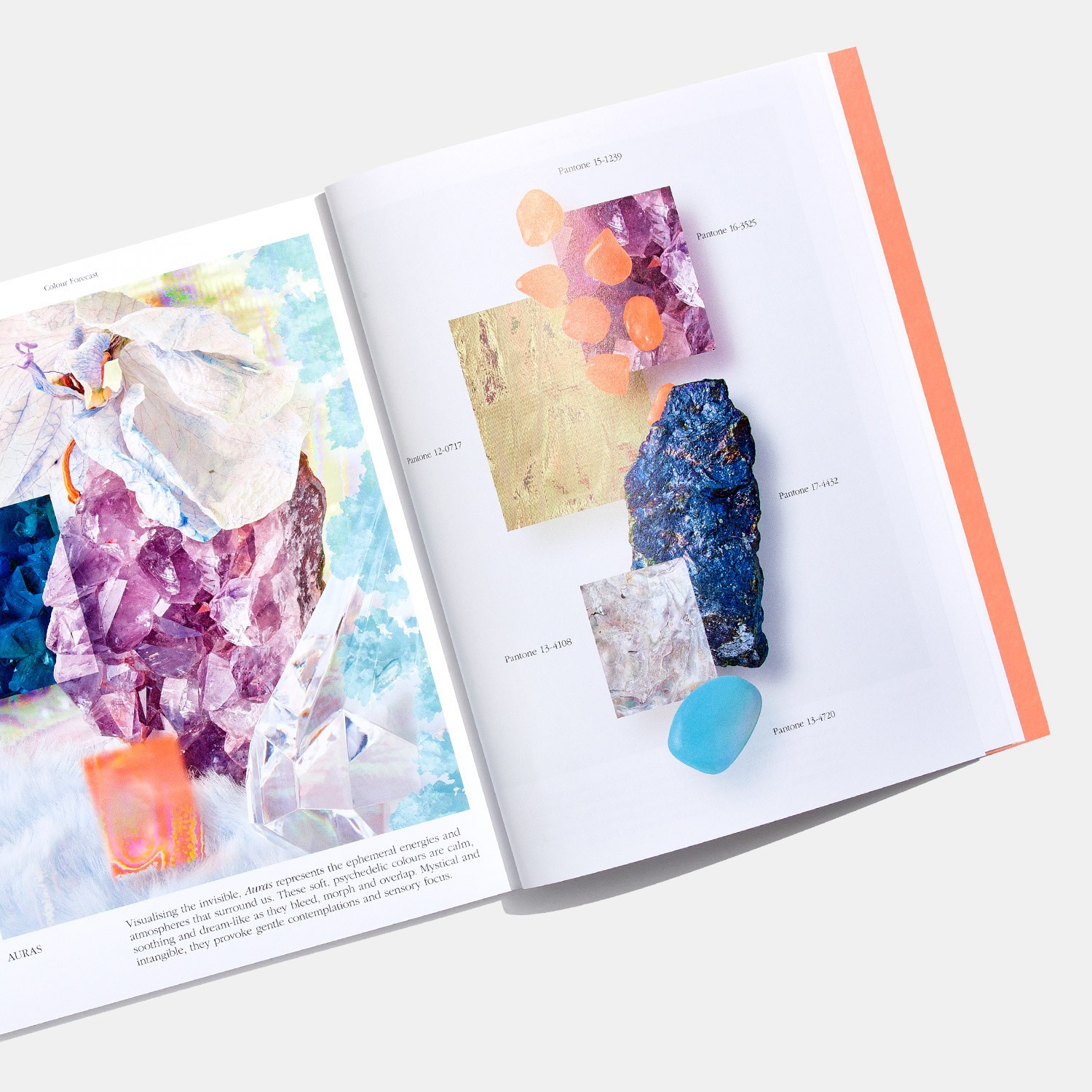 PANTONE 色彩趨勢(shì)書《色彩觀點(diǎn)》第十期