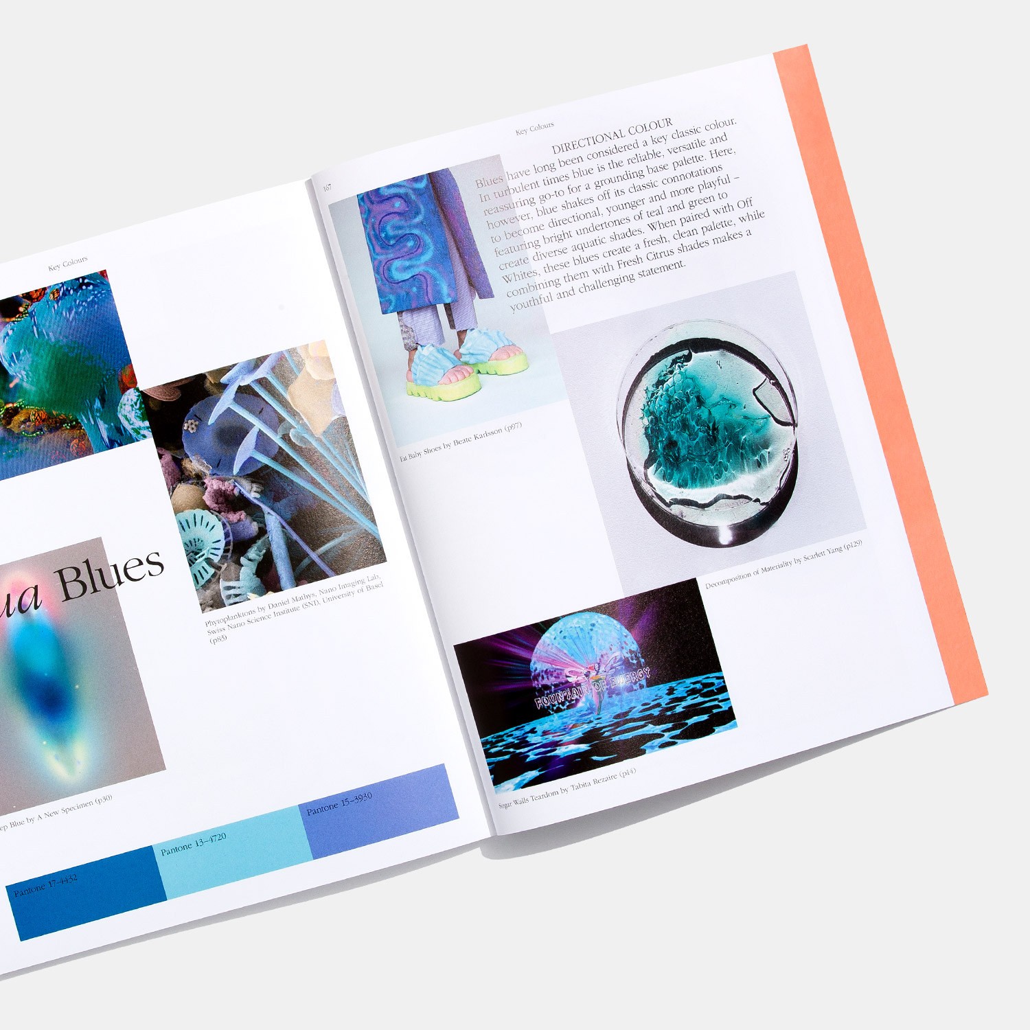 PANTONE 色彩趨勢(shì)書《色彩觀點(diǎn)》第十期