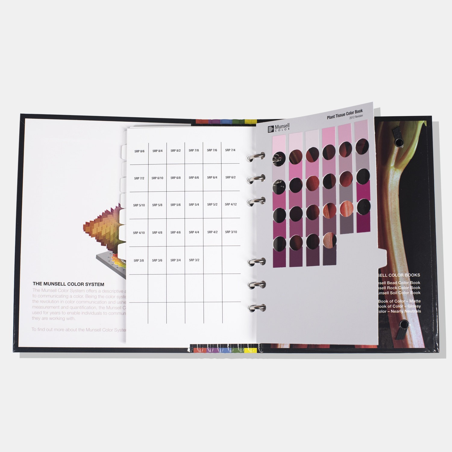 Munsell孟塞爾植物組織標準色卡