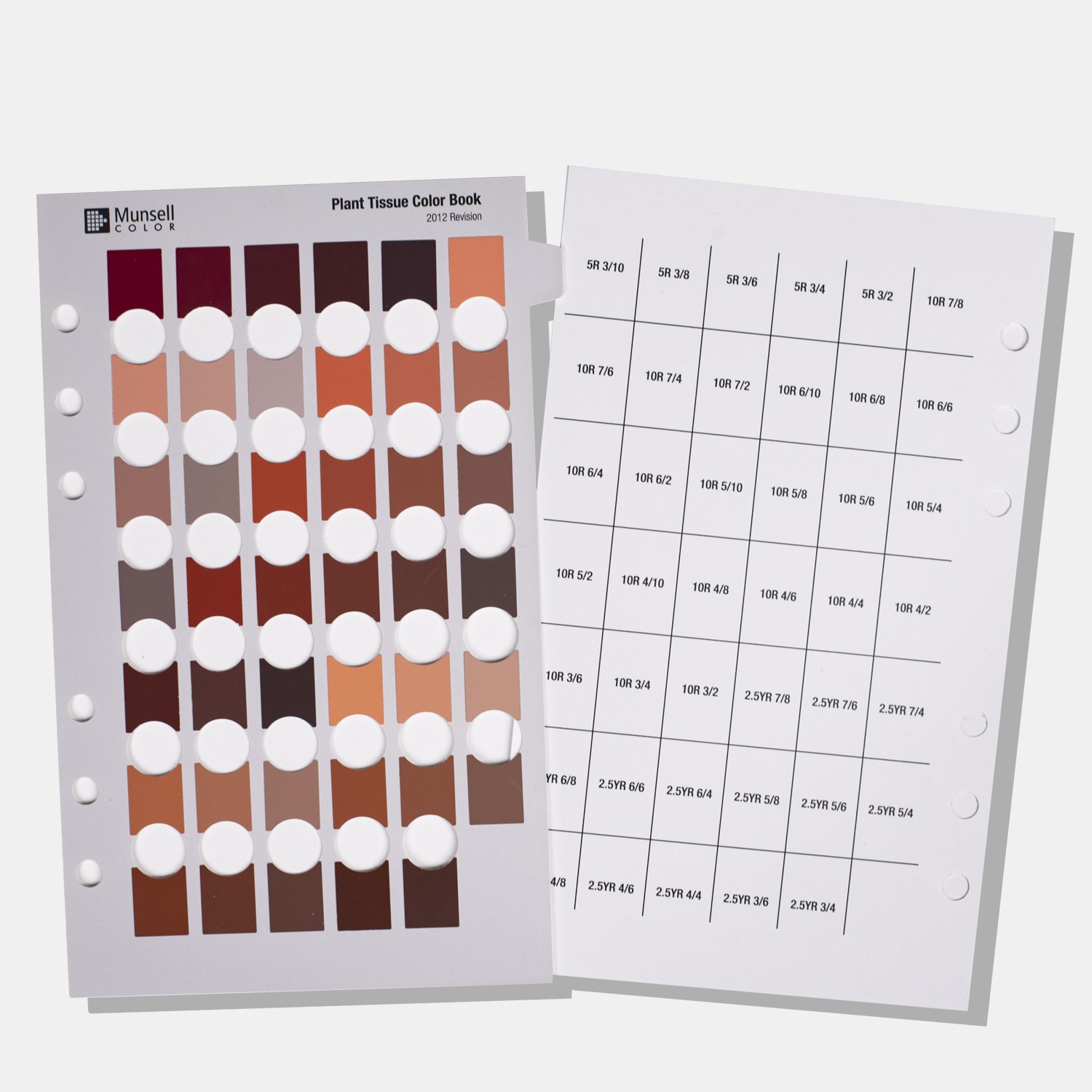 Munsell孟塞爾植物組織標準色卡