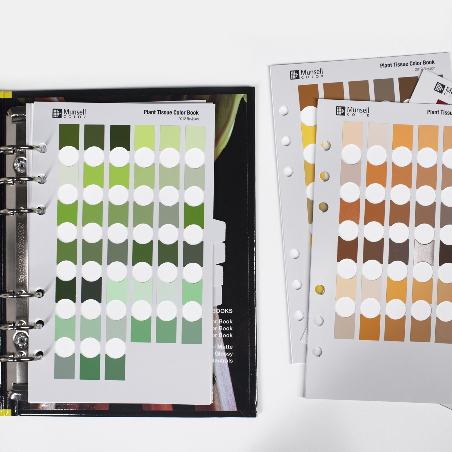 Munsell孟塞爾植物組織標準色卡