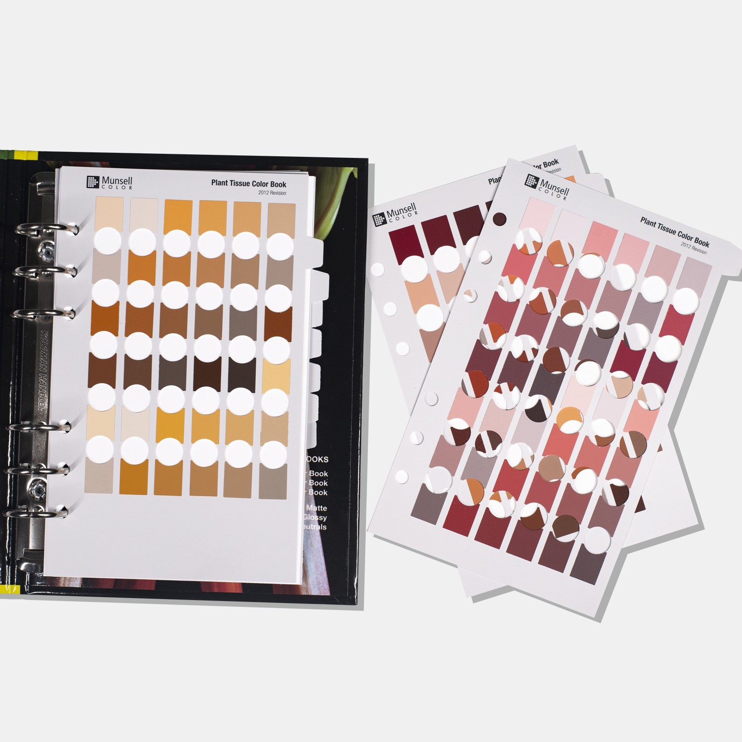 Munsell孟塞爾植物組織標準色卡