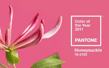 PANTONE彩通2011年度色：金銀花粉（18-2120）