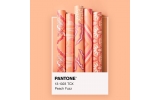 PANTONE 2024 年度代表色正式發(fā)布：PANTONE 13-1023 柔和桃 