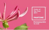 PANTONE彩通2011年度色：金銀花粉（18-2120）
