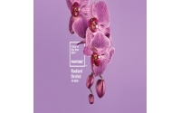 PANTONE 2014年度色：蘭花紫（18-3224）