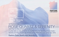  PANTONE  2016年度色：粉水晶（13-1520）&寧靜藍(lán)（15-3919）