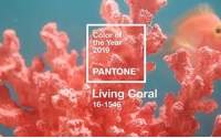 PANTONE 2019年度色：活珊瑚橘（16-1546 ）