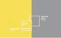 PANTONE  2021年度色：亮麗黃（13-0647）&極致灰（17-5104）