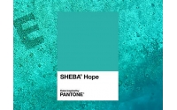 PANTONE與貓糧品牌SHEBA合作打造熱帶藍綠色調(diào)以支持珊瑚礁修復項目