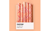 PANTONE 2024 年度代表色正式發(fā)布：PANTONE 13-1023 柔和桃 