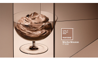 PANTONE  2025年度流行色發(fā)布：17-1230Mocha Mousse（摩卡慕斯）