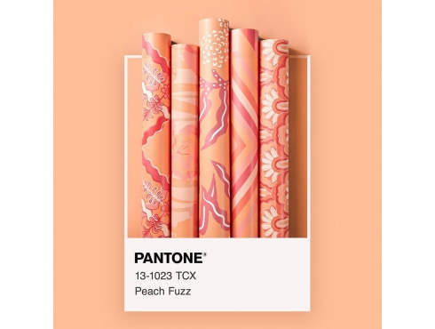 PANTONE 2024 年度代表色正式發(fā)布：PANTONE 13-1023 柔和桃 