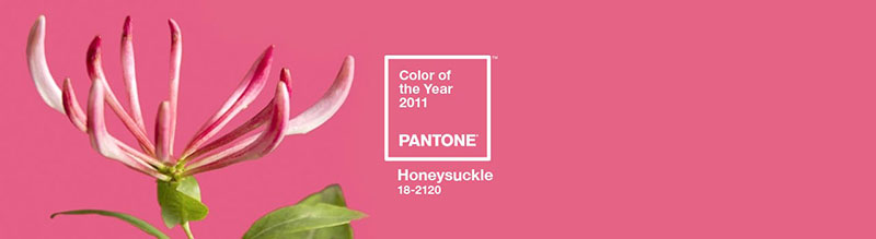 PANTONE彩通2011年度色:金銀花粉(18-2120)(圖1) PANTONE彩通2011年度色:金銀花粉(18-2120)(圖1)