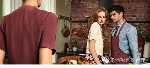 PANTONE 2015年度色:瑪薩拉酒紅(18-1438)(圖5)