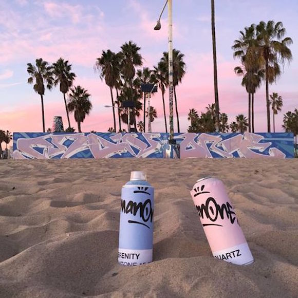  PANTONE  2016年度色：粉水晶（13-1520）&寧靜藍（15-3919）(圖12)