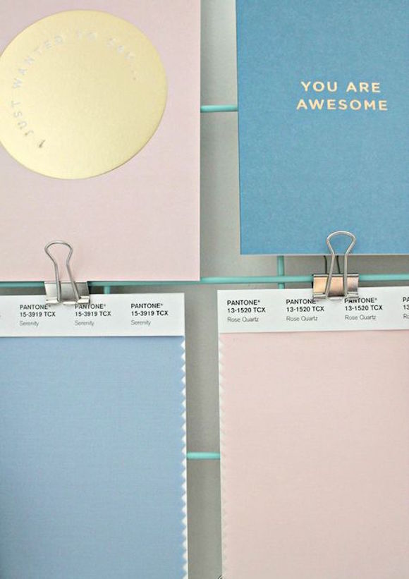  PANTONE  2016年度色：粉水晶（13-1520）&寧靜藍（15-3919）(圖13)