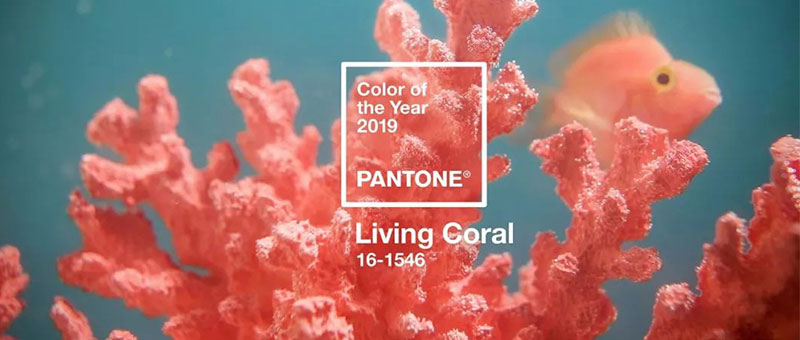PANTONE 2019年度色:活珊瑚橘(16-1546 )(圖1)
