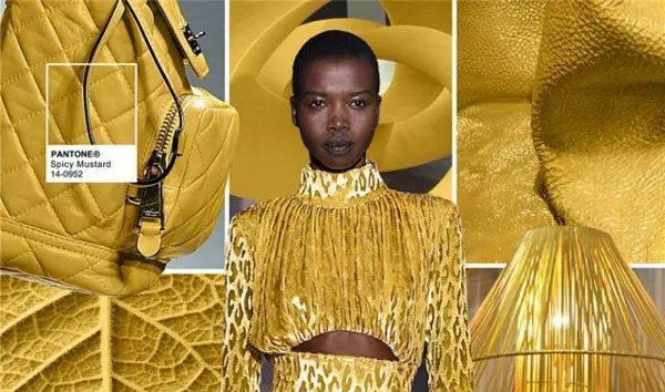 色彩權威研究機構Pantone發(fā)布的2016年下半年秋冬十大流行色(圖10)