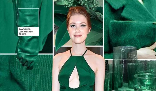 色彩權威研究機構Pantone發(fā)布的2016年下半年秋冬十大流行色(圖9)
