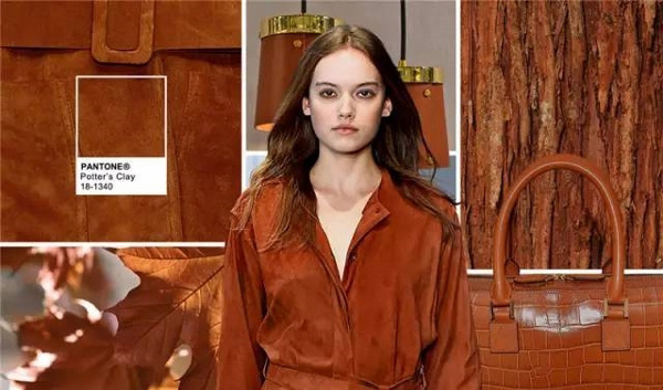 色彩權威研究機構Pantone發(fā)布的2016年下半年秋冬十大流行色(圖11)