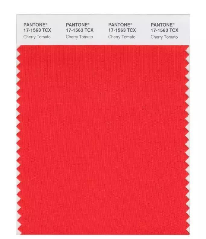 PANTONE公布2018春夏男女裝值得關(guān)注的12個(gè)潮流色(圖3)