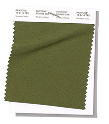 Pantone|紐約時(shí)裝周春/夏2019時(shí)尚色彩趨勢(shì)報(bào)告(圖12)