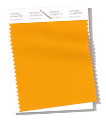 Pantone|紐約時(shí)裝周春/夏2019時(shí)尚色彩趨勢(shì)報(bào)告(圖11)