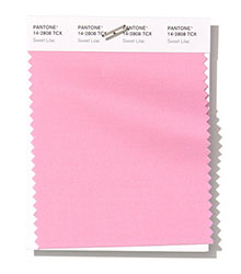 Pantone|紐約時(shí)裝周春/夏2019時(shí)尚色彩趨勢(shì)報(bào)告(圖13)