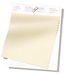 Pantone|紐約時(shí)裝周春/夏2019時(shí)尚色彩趨勢(shì)報(bào)告(圖16)