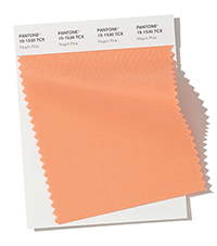 PANTONE 15-1530.jpg PANTONE 15-1530.jpg