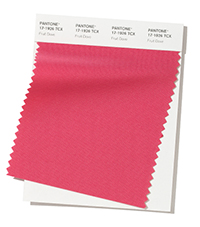 PANTONE 17-1926.jpg PANTONE 17-1926.jpg