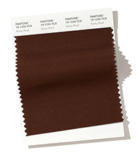 PANTONE 19-1234.jpg PANTONE 19-1234.jpg