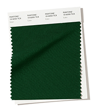 PANTONE 19-6050.jpg PANTONE 19-6050.jpg