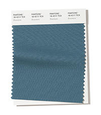 PANTONE 18-4217.jpg PANTONE 18-4217.jpg