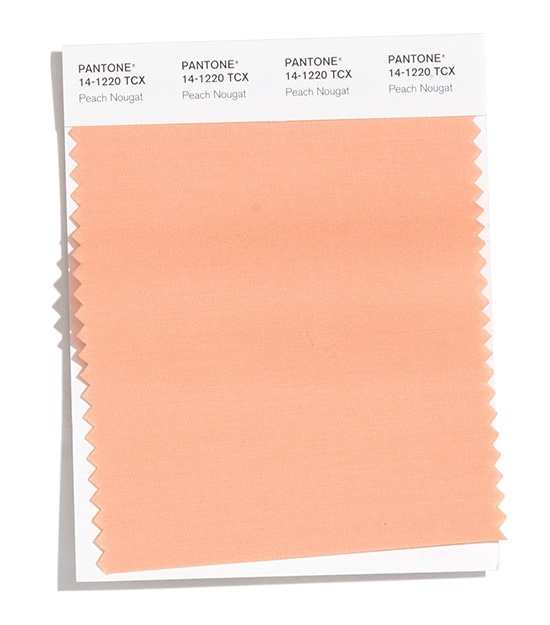 PANTONE 2020/2021秋冬紐約時(shí)裝流行色報(bào)告(圖10)