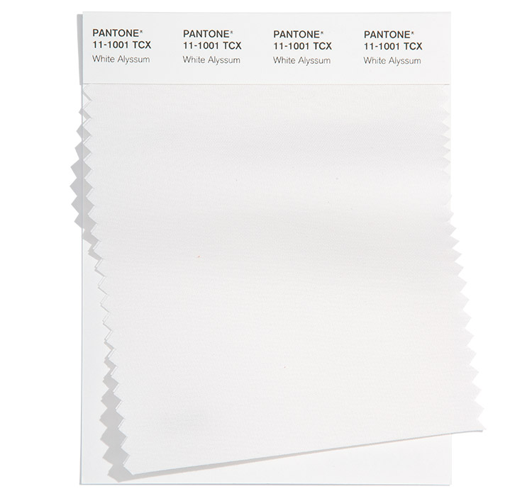 n1 (15).jpg n1 (15).jpg