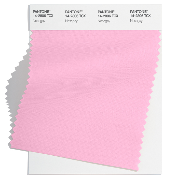 PANTONE 14-2806TCX PANTONE 14-2806TCX
