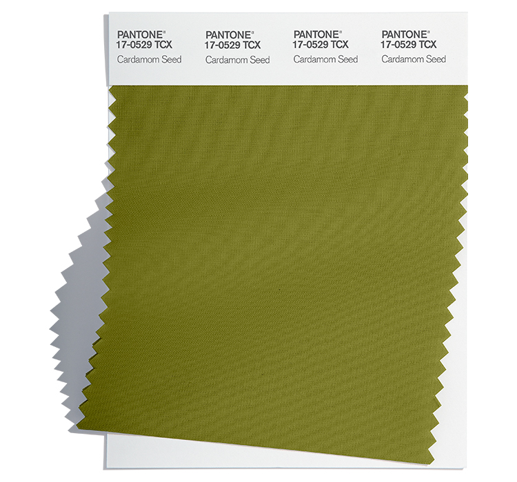 PANTONE 17-0529TCX PANTONE 17-0529TCX