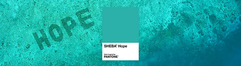 PANTONE與貓糧品牌SHEBA合作打造熱帶藍(lán)綠色調(diào)以支持珊瑚礁修復(fù)項目(圖1) PANTONE與貓糧品牌SHEBA合作打造熱帶藍(lán)綠色調(diào)以支持珊瑚礁修復(fù)項目(圖1)