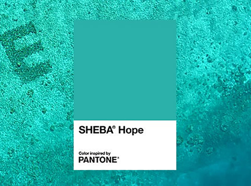 PANTONE與貓糧品牌SHEBA合作打造熱帶藍(lán)綠色調(diào)以支持珊瑚礁修復(fù)項目(圖2) PANTONE與貓糧品牌SHEBA合作打造熱帶藍(lán)綠色調(diào)以支持珊瑚礁修復(fù)項目(圖2)