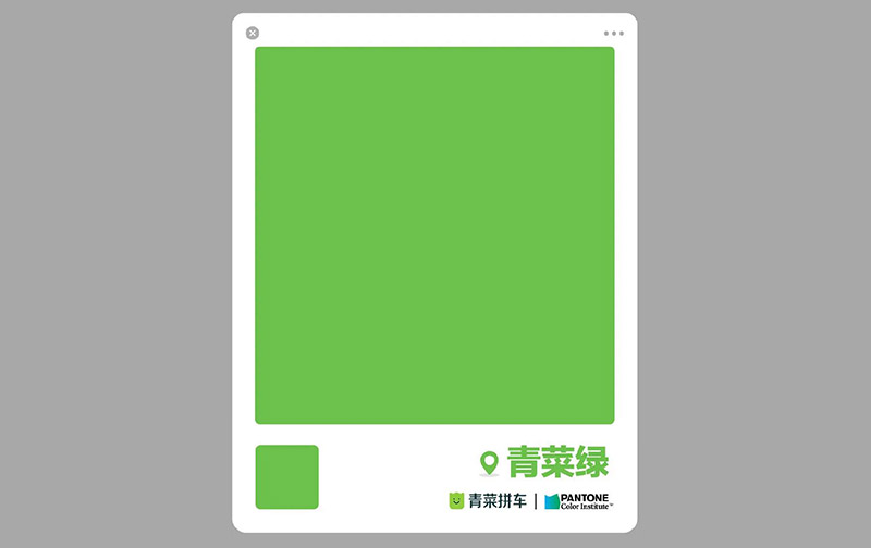 PANTONE聯(lián)合青菜拼車發(fā)布了“青菜綠”！(圖2)