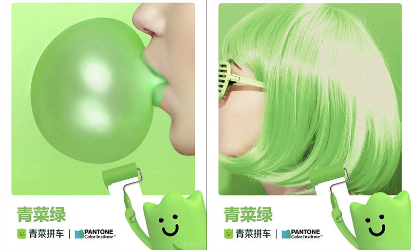PANTONE聯(lián)合青菜拼車發(fā)布了“青菜綠”！(圖7)