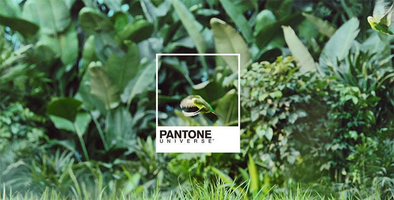 五菱 XPANTONE聯(lián)名出新車，清新的配色值得設(shè)計(jì)師學(xué)習(xí)(圖7)