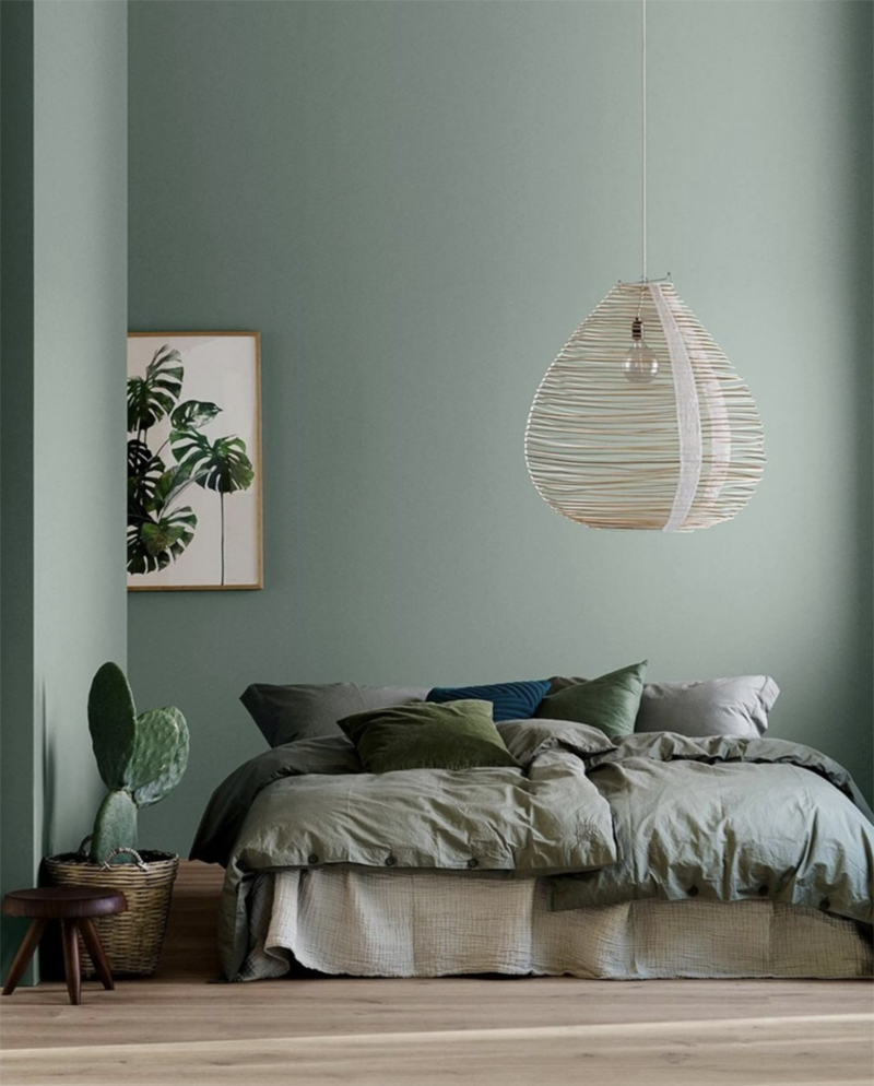 海草綠色彩搭配