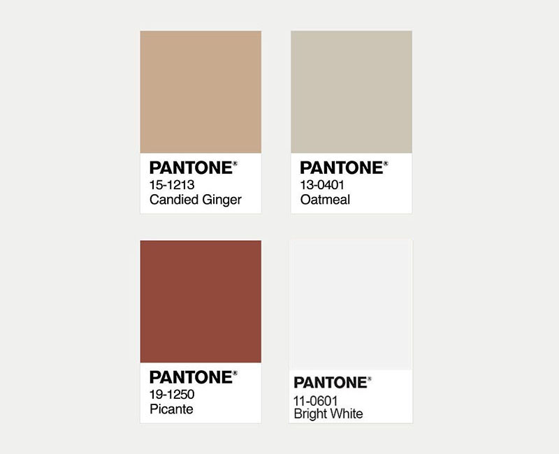 棕色調(diào)色板 棕色調(diào)色板