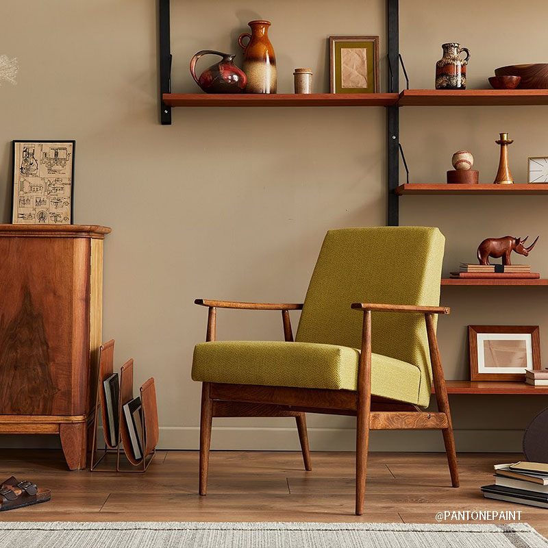 大地深棕18-1345 大地深棕18-1345