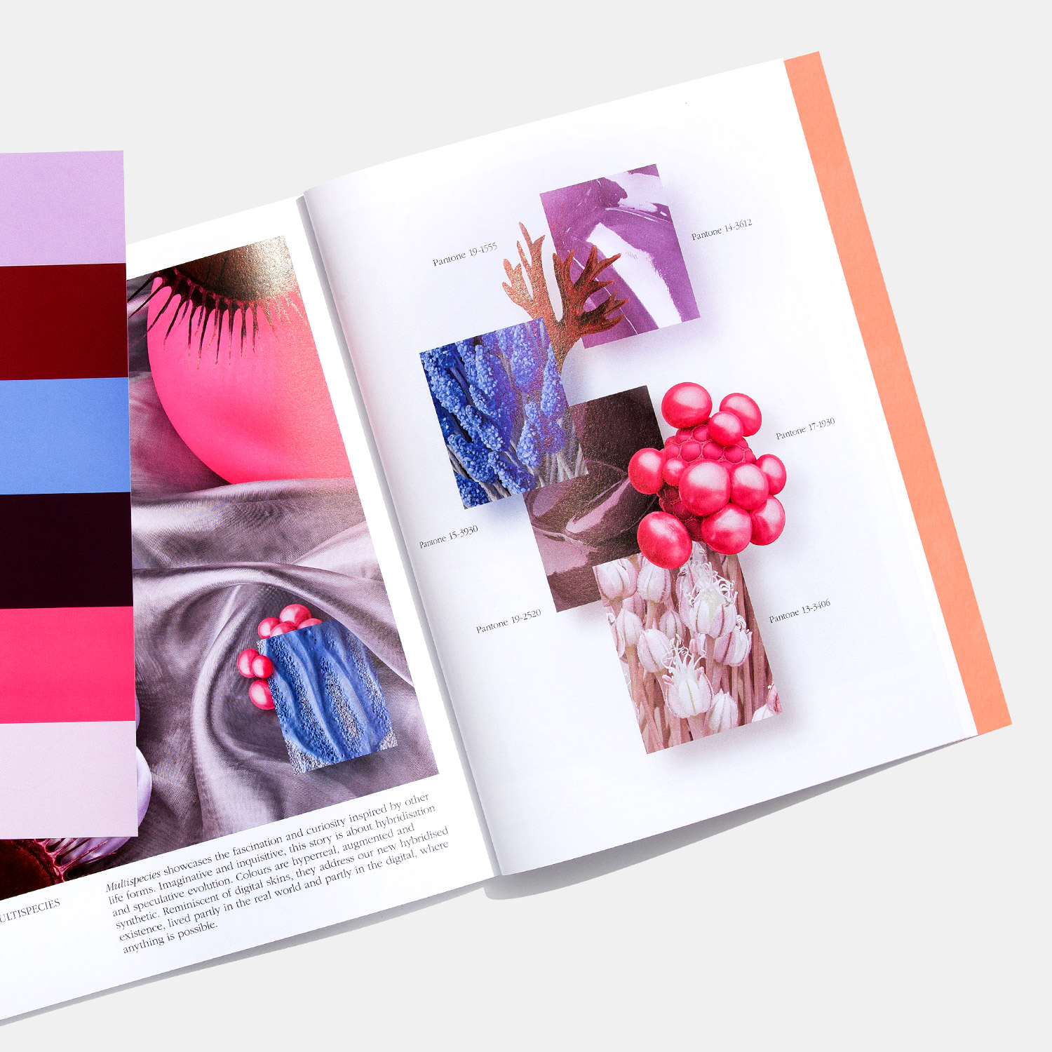 色彩觀點(diǎn)第十期 色彩觀點(diǎn)第十期