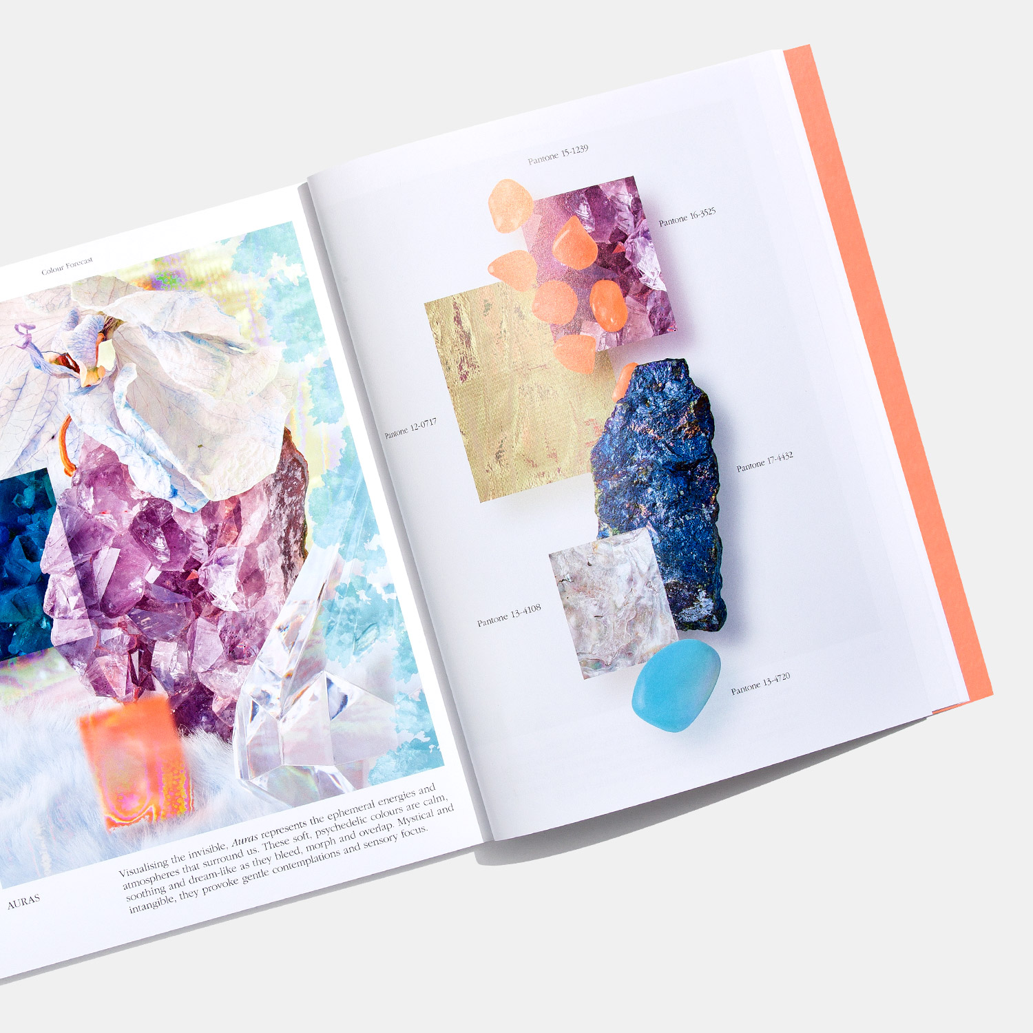 色彩觀點(diǎn)第十期 色彩觀點(diǎn)第十期